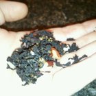 Pecan Pie from Ovation Teas - Custom Blend