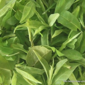 China Cha Dao Supreme Qing Shan Lu Shui (Ku Ding) Green Tea from China Cha Dao