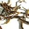 Yunnan Golden Tips from Chah