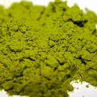 Drinking Matcha from Matcha Factory