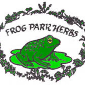 Dragon Well Green Tea from Frog Park Herbs