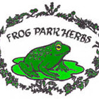 Dragon Well Green Tea from Frog Park Herbs