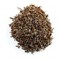 Darjeeling TGFOP from The Coffee & Tea Exchange