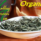 Silver Needle (Premium Grade) from Valley Green Tea