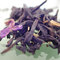 Stu Tea from Art of Tea