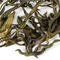 Green Anji from Adagio Teas