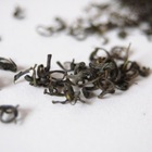 Early Summer Laoshan Green from Verdant Tea