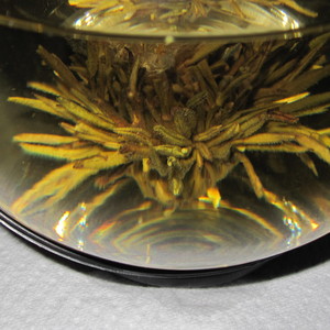 Flowering Teas - White Tea with Peach from Primula Tea