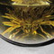 Flowering Teas - White Tea with Peach from Primula Tea