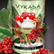 Red Currant GreenTea from Vykasa