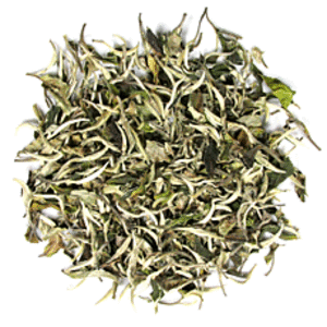 Yue Guang Bai 2010 Pre-Qing Ming from Tea Trekker