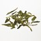 Long Jing (Shi Feng #43) from Canton Tea Co