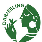 Darjeeling Ambootia Estate TGFOP1 organic F/T from G S Haly Company