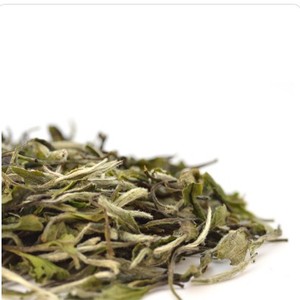 Organic White Peony (Bai Mu Dan) Tea from Teavivre