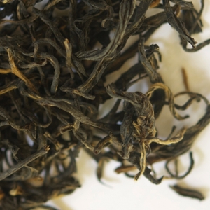 Xiao Zhong from Camellia Sinensis