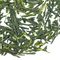 Gyokuro from Adagio Teas