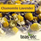 Chamomile Lavender from Teas Etc