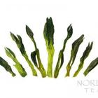 Tai Ping Hou Kui - 2011 Spring Anhui Green Tea from Norbu Tea