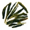 Tai Pin Hou Kui from Cha Zhuang