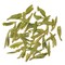 Premium Dragon Well Green Tea (Long Jing) from Teavivre