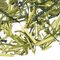 Kukicha from Adagio Teas