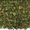 Peppermint from EGO Tea Company