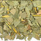 Eucalyptus from EGO Tea Company