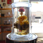 Blooming Christmas Tree from New Mexico Tea Company