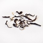 Arya Ruby Second Flush Darjeeling from Canton Tea Co