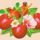 Cherry Tea from Red Leaf Tea