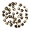 Dragon Pearl Jasmine Supreme from Red Blossom Tea Company