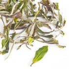 White Peony (Bai MuDan) Tea from Teavivre