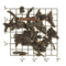 Burnside Estate FOP Fair Trade from Upton Tea Imports