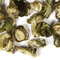 Jade Snail from Adagio Teas