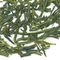 Sencha Overture from Adagio Teas