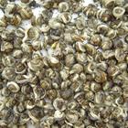 Certified Organic "Jasmine Pearl" Green Tea From Yunnan from Yunnan Sourcing