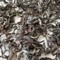 Taiwan Oolong Bai Hao Summer 2011 from Stone Leaf Teahouse