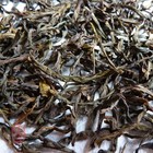 2011 spring Guangdong Feng Huang Dan Con Wudong Song Zhong from Chawangshop