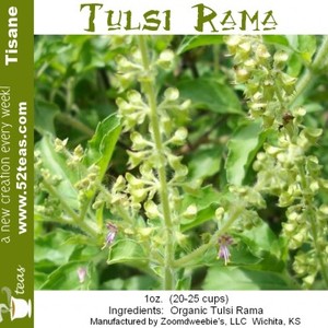 Tulsi Rama from 52teas