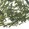 Sencha Premier from Adagio Teas