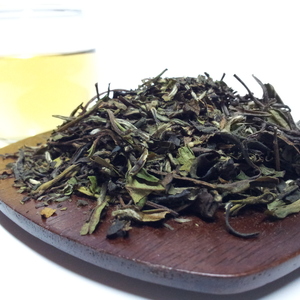 Blueberry White Tea from Triplet Tea