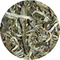 Organic Emerald Lily Green Tea from Tea District