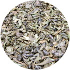 Organic Moroccan Mint from Tea District