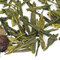 Cherry Green from Adagio Teas