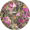 Organic Wild Rose White Tea from Tea District
