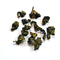 Vietnam Kim Tuyen Oolong from Queen Cha. Oolong Tee