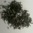 Darjeeling Arya Estate from Todd & Holland