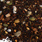 Roasted Pumpkin Mate from Fusion Teas
