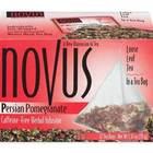 Persian Pomegranate from Bigelow