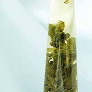 Gin Shan Creme (White Dragon) from Teas.com.au